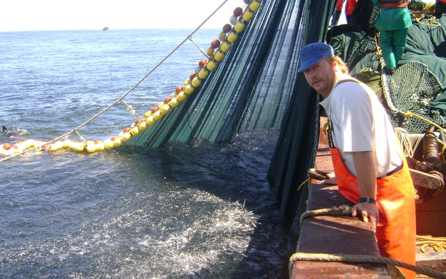 Wyle Jan Nugget Otto